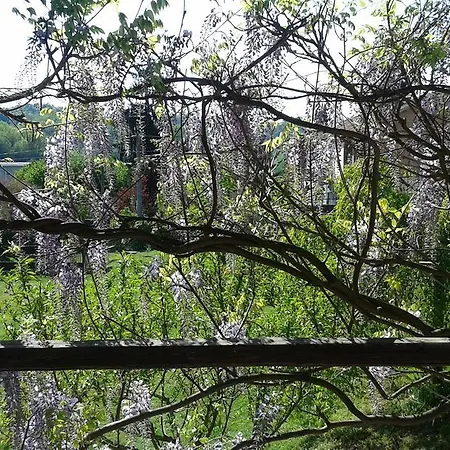 Frühstückspension La Coccarda