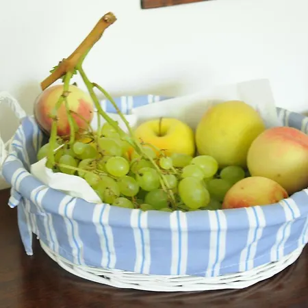 Bed and breakfast La Coccarda