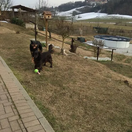 La Coccarda Frühstückspension CastellʼAlfero